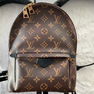Louis Vuitton Palm Springs PM Monogram Backpack